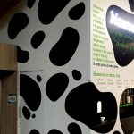 Decorazione Biancovivo